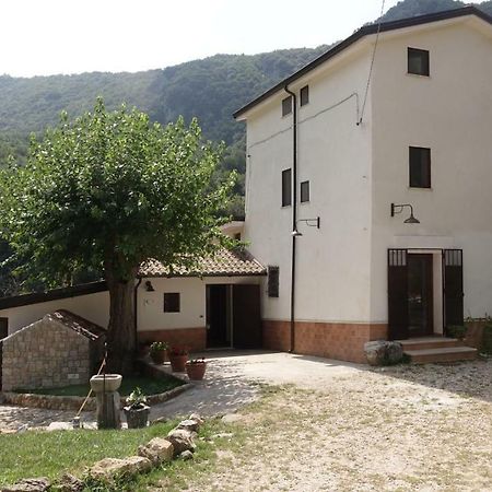 Azienda Agrituristica Terraria Hotel กัมปาญา ภายนอก รูปภาพ